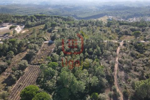 Helårsgrund i Ourem, Santarem, Ourem - € 6.000 | Ref: 1293 - foto 7