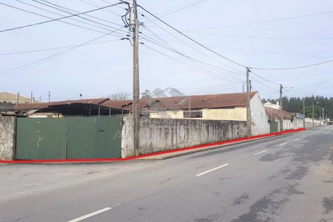 Helårsgrund i Agueda, Aveiro, Agueda - € 550.000 | Ref: #ACREN379 - foto 2