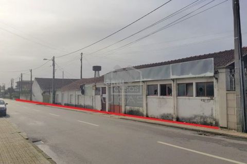 Helårsgrund i Agueda, Aveiro, Agueda - € 550.000 | Ref: #ACREN379 - foto 3