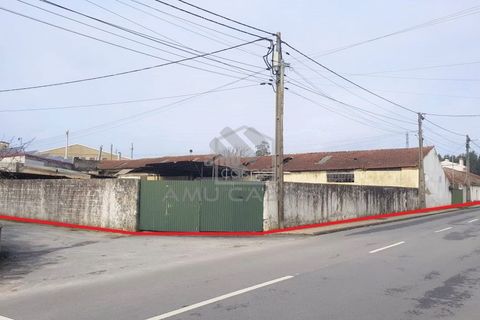 Helårsgrund i Agueda, Aveiro, Agueda - € 550.000 | Ref: #ACREN379 - foto 4