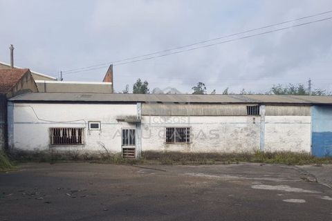 Helårsgrund i Agueda, Aveiro, Agueda - € 550.000 | Ref: #ACREN379 - foto 5