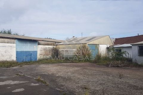 Helårsgrund i Agueda, Aveiro, Agueda - € 550.000 | Ref: #ACREN379 - foto 6