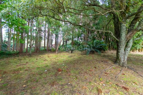 Villa a Horta, Faial, Horta - € 720.000 | Ref: 374240289 - foto 18