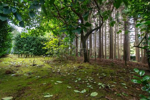 Villa a Horta, Faial, Horta - € 720.000 | Ref: 374240289 - foto 20