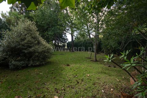 Villa a Horta, Faial, Horta - € 720.000 | Ref: 374240289 - foto 27