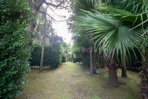 Villa a Horta, Faial, Horta - € 720.000 | Ref: 374240289 - foto 29
