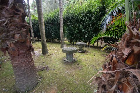 Villa a Horta, Faial, Horta - € 720.000 | Ref: 374240289 - foto 30