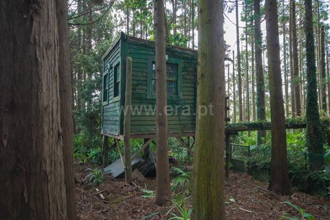 Villa a Horta, Faial, Horta - € 720.000 | Ref: 374240289 - foto 32