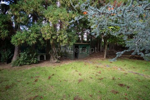 Villa a Horta, Faial, Horta - € 720.000 | Ref: 374240289 - foto 34