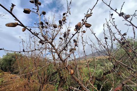 Finca i Lanjaron, Granada, Lanjaron - € 90.000 | Ref: L749 - foto 11