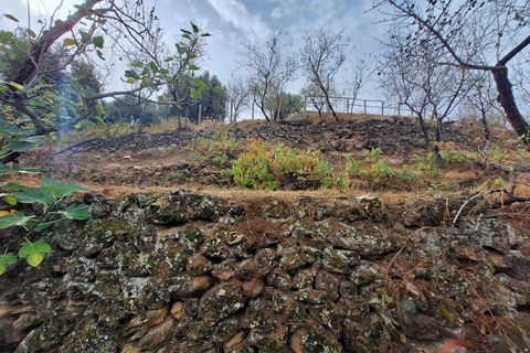 Finca i Lanjaron, Granada, Lanjaron - € 90.000 | Ref: L749 - foto 12