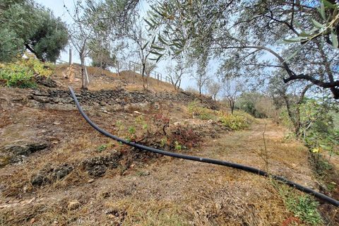 Finca i Lanjaron, Granada, Lanjaron - € 90.000 | Ref: L749 - foto 13