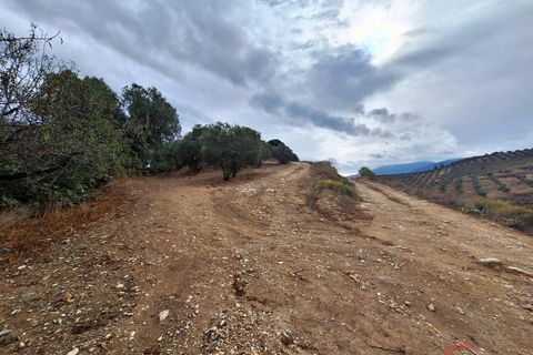 Finca i Lanjaron, Granada, Lanjaron - € 90.000 | Ref: L749 - foto 15