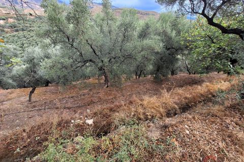 Finca i Lanjaron, Granada, Lanjaron - € 90.000 | Ref: L749 - foto 16