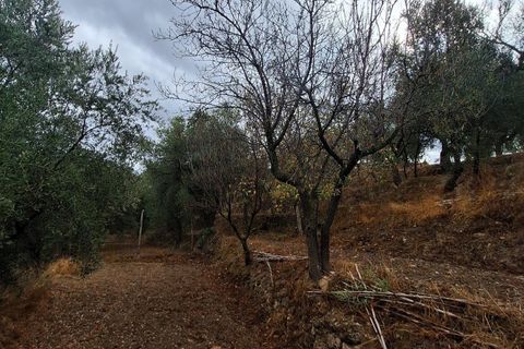 Finca i Lanjaron, Granada, Lanjaron - € 90.000 | Ref: L749 - foto 17