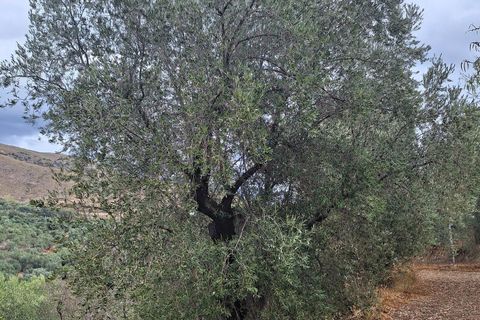 Finca i Lanjaron, Granada, Lanjaron - € 90.000 | Ref: L749 - foto 18