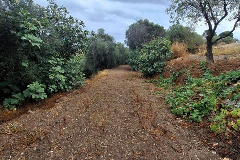 Finca i Lanjaron, Granada, Lanjaron - € 90.000 | Ref: L749 - foto 20
