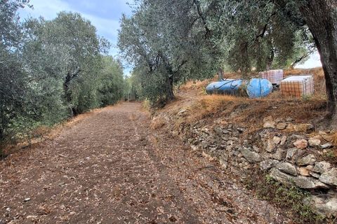 Finca i Lanjaron, Granada, Lanjaron - € 90.000 | Ref: L749 - foto 21