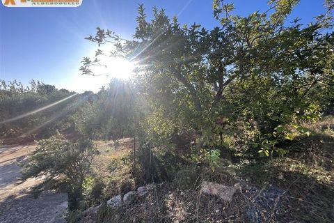 Villa i Cisternino, Brindisi, Cisternino - € 180.000 | Ref: 602 - foto 34