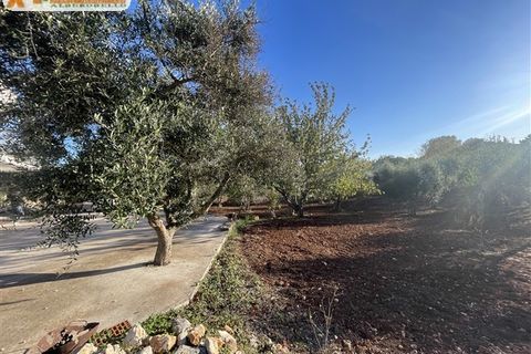 Villa i Cisternino, Brindisi, Cisternino - € 180.000 | Ref: 602 - foto 32