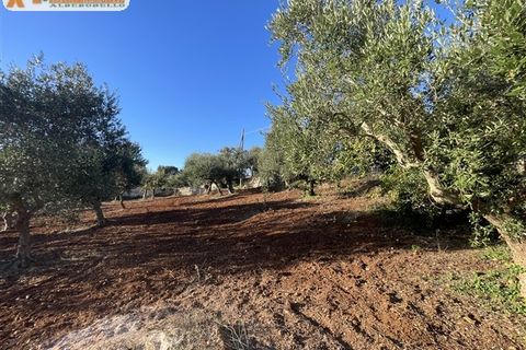 Villa i Cisternino, Brindisi, Cisternino - € 180.000 | Ref: 602 - foto 33