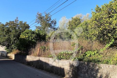Villa i Condeixa-a-Nova, Coimbra, Condeixa-a-Nova - € 57.500 | Ref: cdx0676 - foto 5