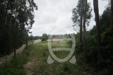Villa a Quiaios, Coimbra, Quiaios - € 169.900 | Ref: ff0440 - foto 8