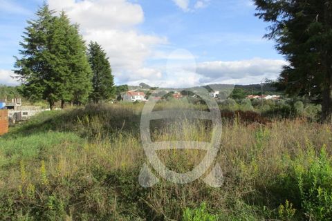 Helårsgrund i Cernache, Coimbra, Cernache - € 77.500 | Ref: cbr2482 - foto 2