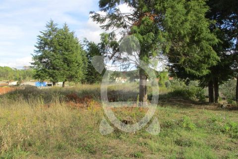 Helårsgrund i Cernache, Coimbra, Cernache - € 77.500 | Ref: cbr2482 - foto 3
