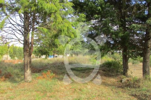 Helårsgrund i Cernache, Coimbra, Cernache - € 77.500 | Ref: cbr2482 - foto 5