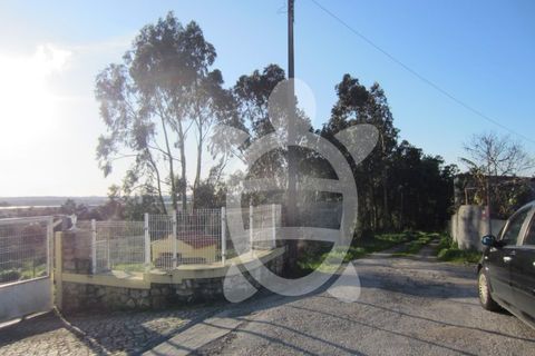 Terra a Vila Verde, Coimbra, Vila Verde - € 15.900 | Ref: ff0934 - foto 2
