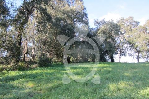 Terra a Vila Verde, Coimbra, Vila Verde - € 15.900 | Ref: ff0934 - foto 4