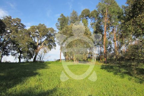 Terra a Vila Verde, Coimbra, Vila Verde - € 15.900 | Ref: ff0934 - foto 6