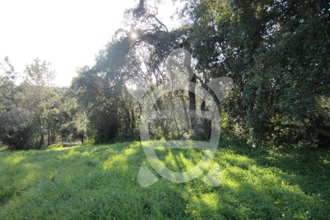 Terra a Vila Verde, Coimbra, Vila Verde - € 15.900 | Ref: ff0934 - foto 7
