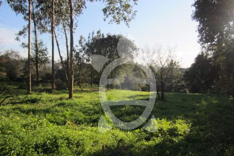 Terra a Vila Verde, Coimbra, Vila Verde - € 15.900 | Ref: ff0934 - foto 8