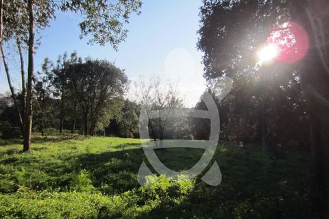 Terra a Vila Verde, Coimbra, Vila Verde - € 15.900 | Ref: ff0934 - foto 10