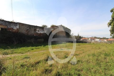 Helårsgrund i Coimbra, Coimbra, Coimbra - € 26.500 | Ref: cdx0699 - foto 1