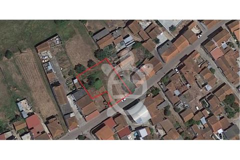 Helårsgrund i Coimbra, Coimbra, Coimbra - € 26.500 | Ref: cdx0699 - foto 2