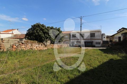 Helårsgrund i Coimbra, Coimbra, Coimbra - € 26.500 | Ref: cdx0699 - foto 7