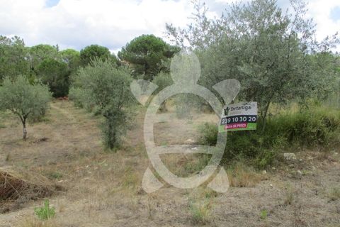 Terra a Cernache, Coimbra, Cernache - € 80.000 | Ref: cbr0291 - foto 2