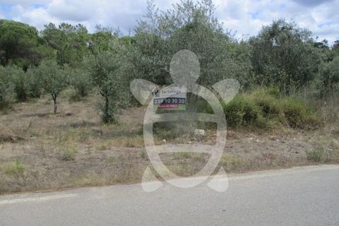 Terra a Cernache, Coimbra, Cernache - € 80.000 | Ref: cbr0291 - foto 4