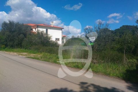 Terra a Cernache, Coimbra, Cernache - € 80.000 | Ref: cbr0291 - foto 7