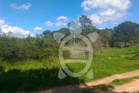 Terra a Cernache, Coimbra, Cernache - € 80.000 | Ref: cbr0291 - foto 8