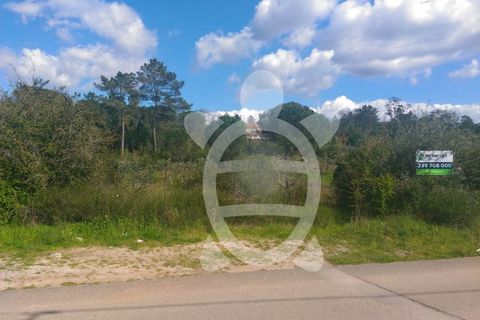 Terra a Cernache, Coimbra, Cernache - € 80.000 | Ref: cbr0291 - foto 9