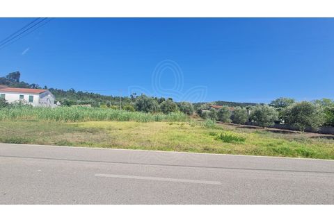 Helårsgrund i Coimbra, Coimbra, Coimbra - € 57.500 | Ref: cbr0832 - foto 4