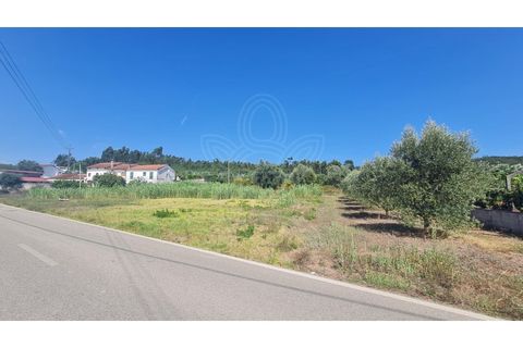 Helårsgrund i Coimbra, Coimbra, Coimbra - € 57.500 | Ref: cbr0832 - foto 7