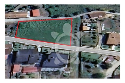 Helårsgrund i Coimbra, Coimbra, Coimbra - € 57.500 | Ref: cbr0832 - foto 3