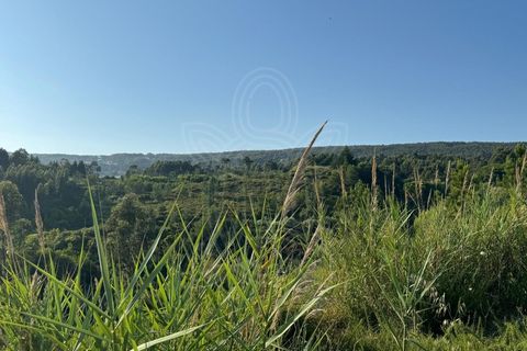 Helårsgrund i Buarcos, Coimbra, Buarcos - € 99.900 | Ref: ff1481 - foto 13