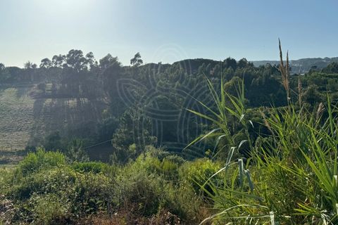Helårsgrund i Buarcos, Coimbra, Buarcos - € 99.900 | Ref: ff1481 - foto 14
