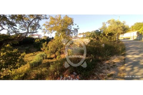 Helårsgrund i Assafarge e Antanhol, Coimbra, Assafarge e Antanhol - € 80.000 | Ref: ff1489 - foto 6